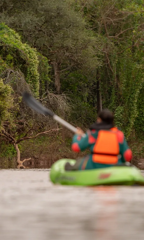 Kayak