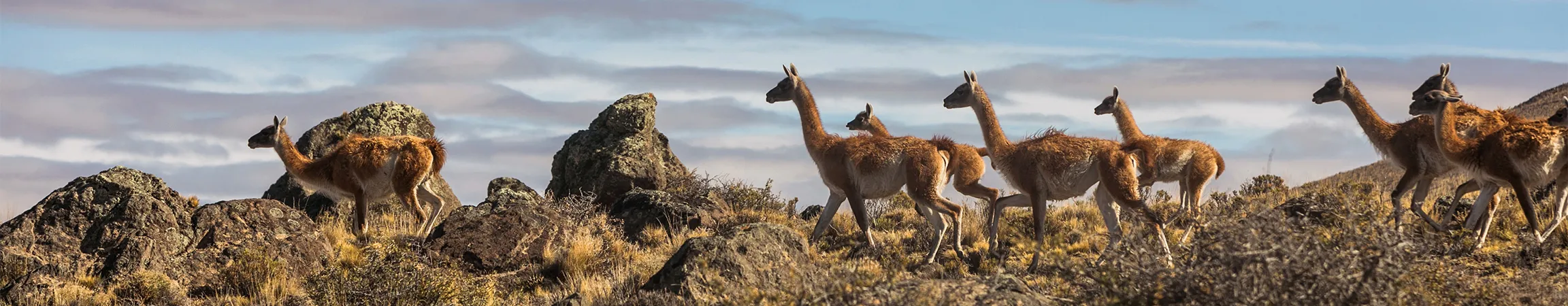 Parque Patagonia