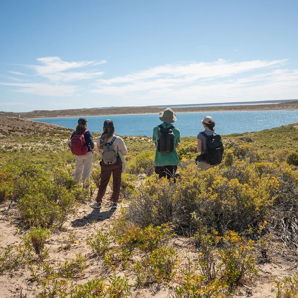 Viajeros Rewilding